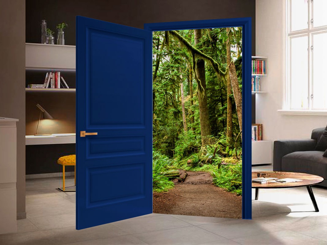 AUGMENTED REALITY REALIDAD AUMENTADA PORTALS PORTAL
